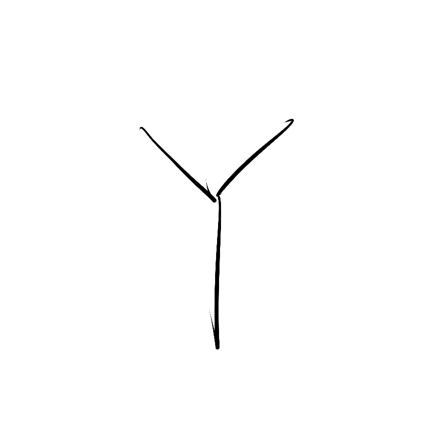Y