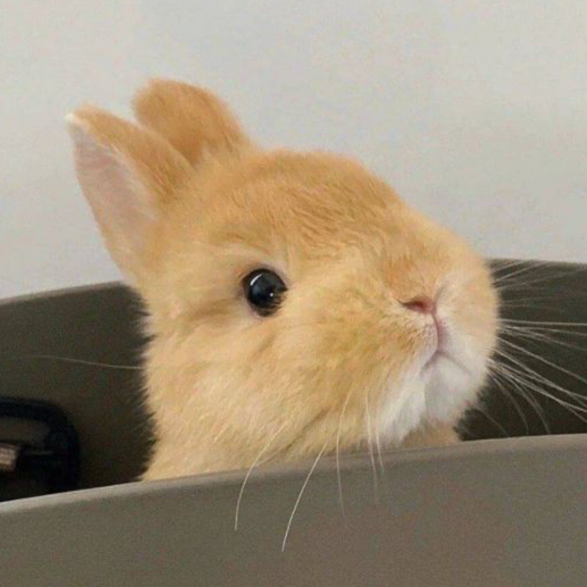 (●• ̀ω•́ )✧取快递
