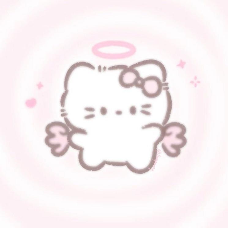 ikun猪