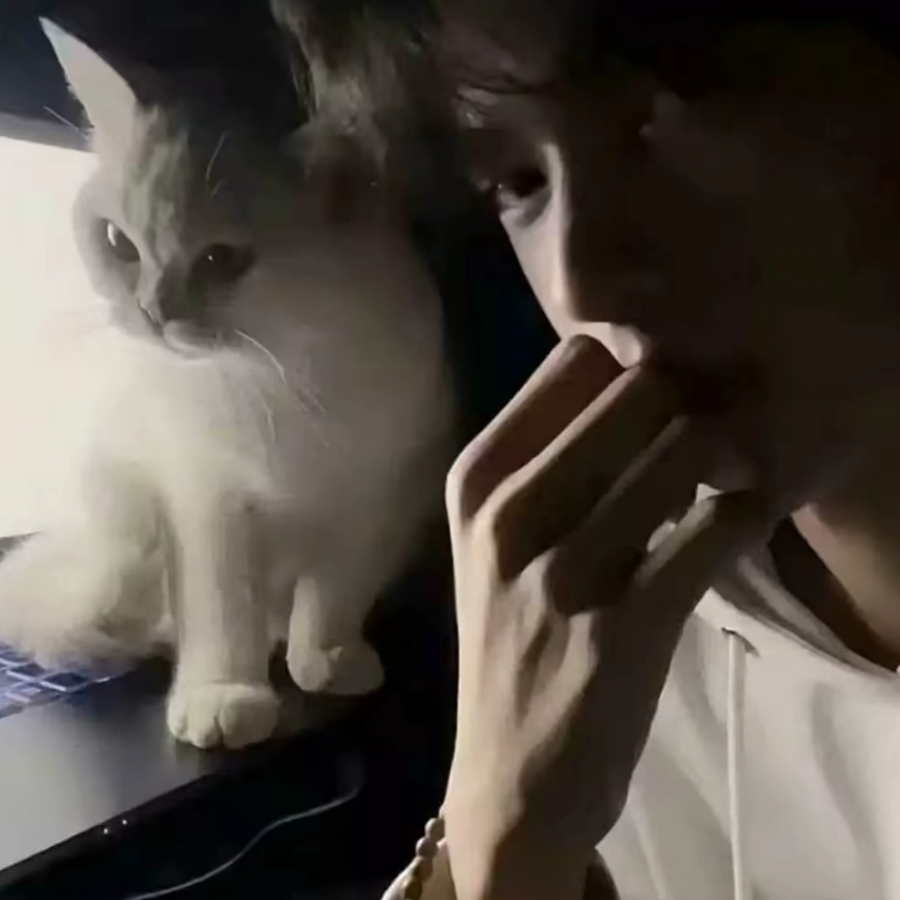 秋