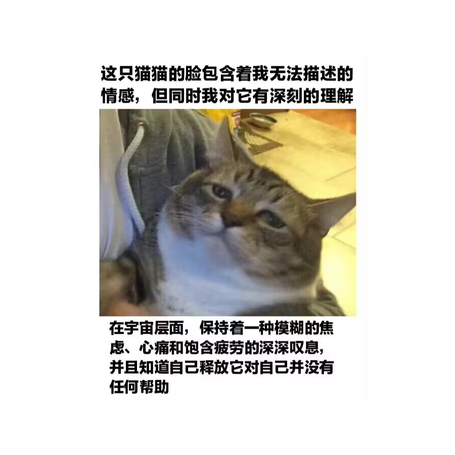 单行