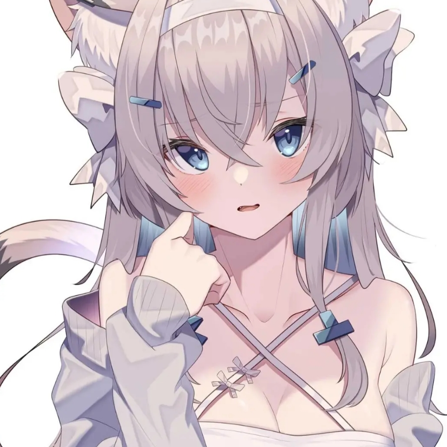 皮皮