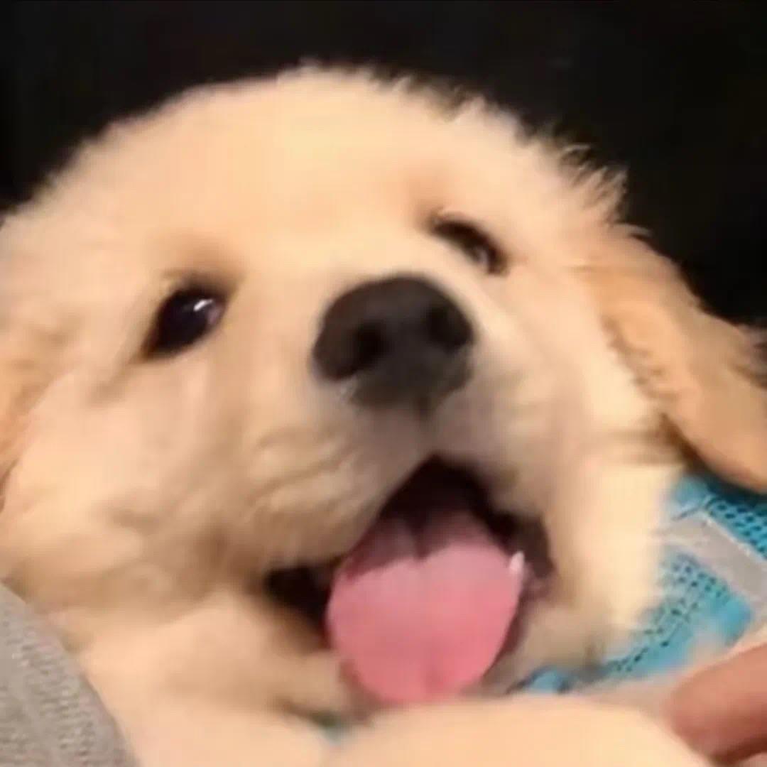 Kk