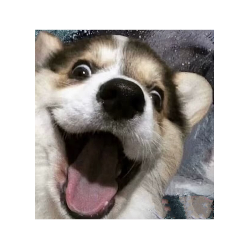 至爱