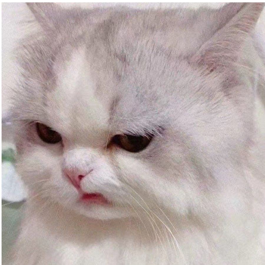 南方