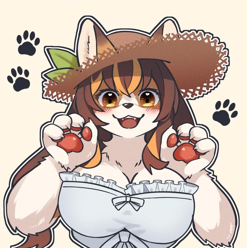 Mino米诺!