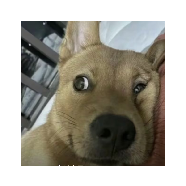 (-ι_- )