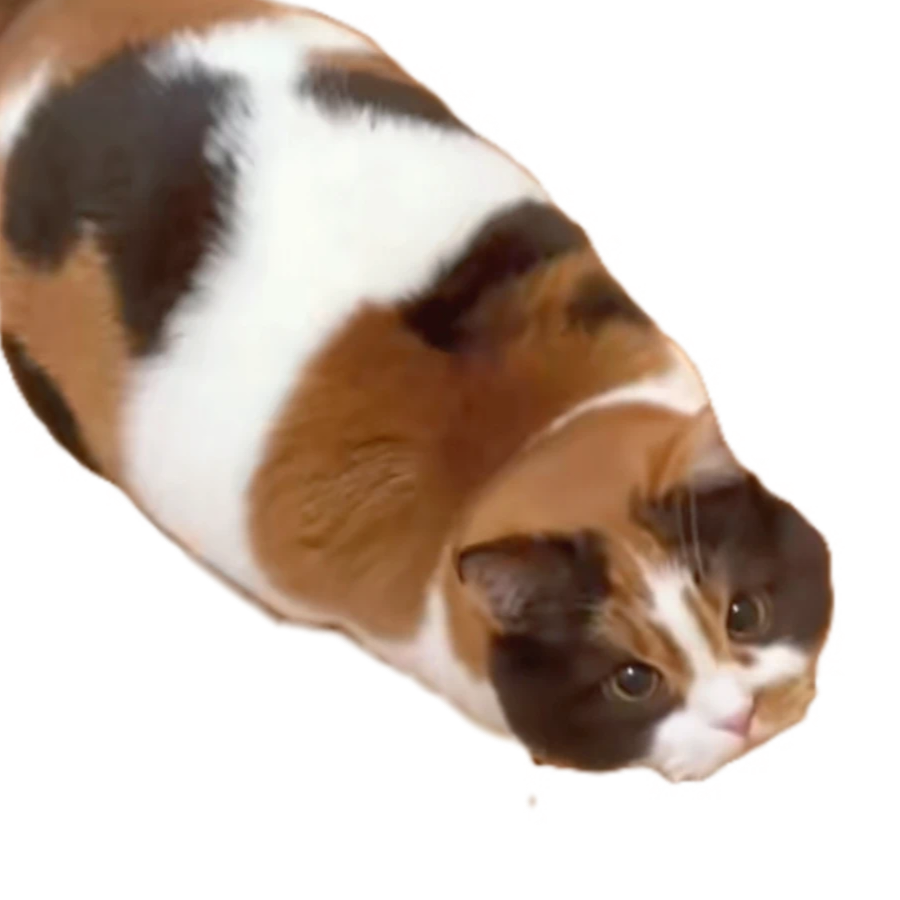 “咚咚”
