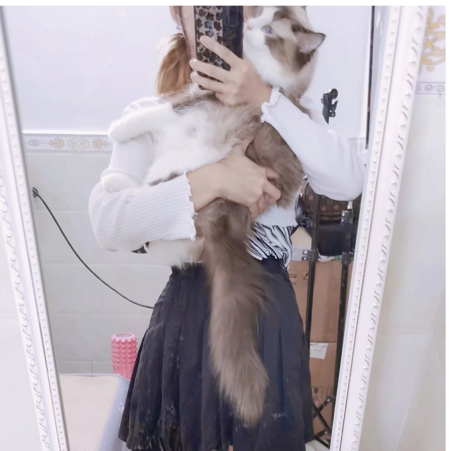 白兔奶糖o