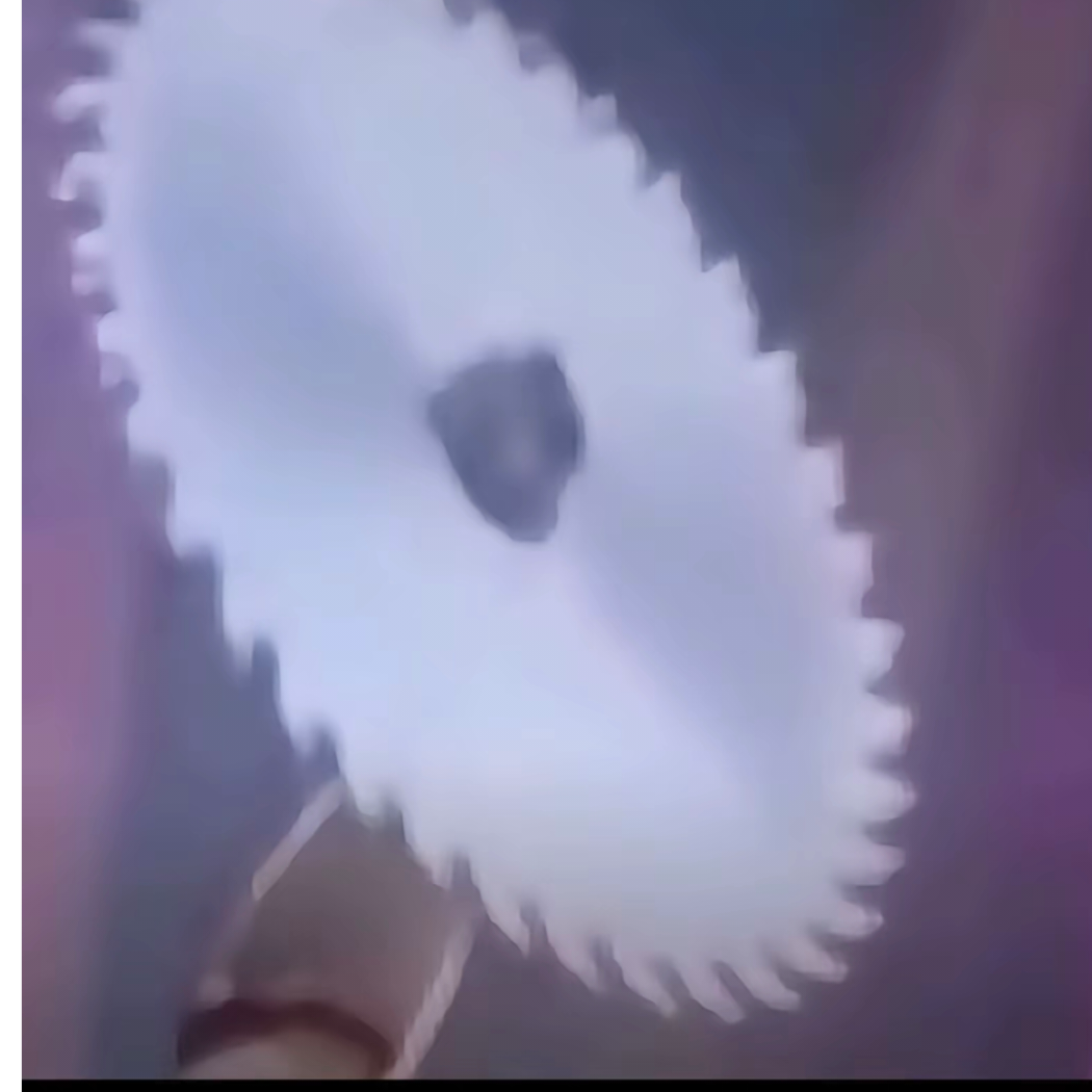 左光轮