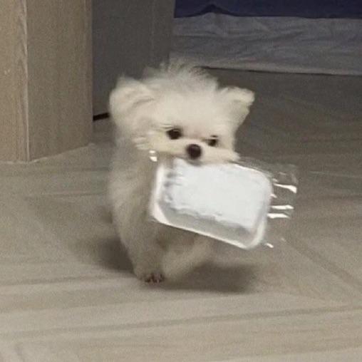 徐安ต