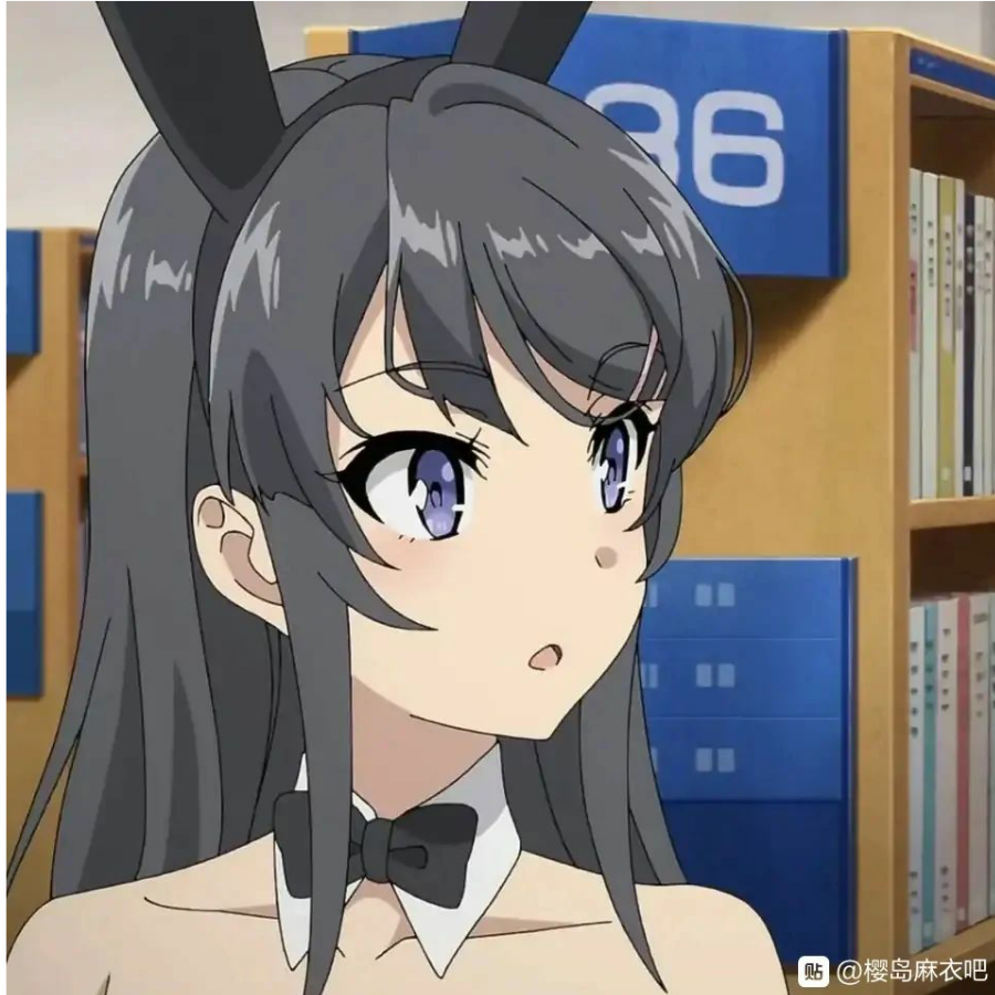 梦梅居士