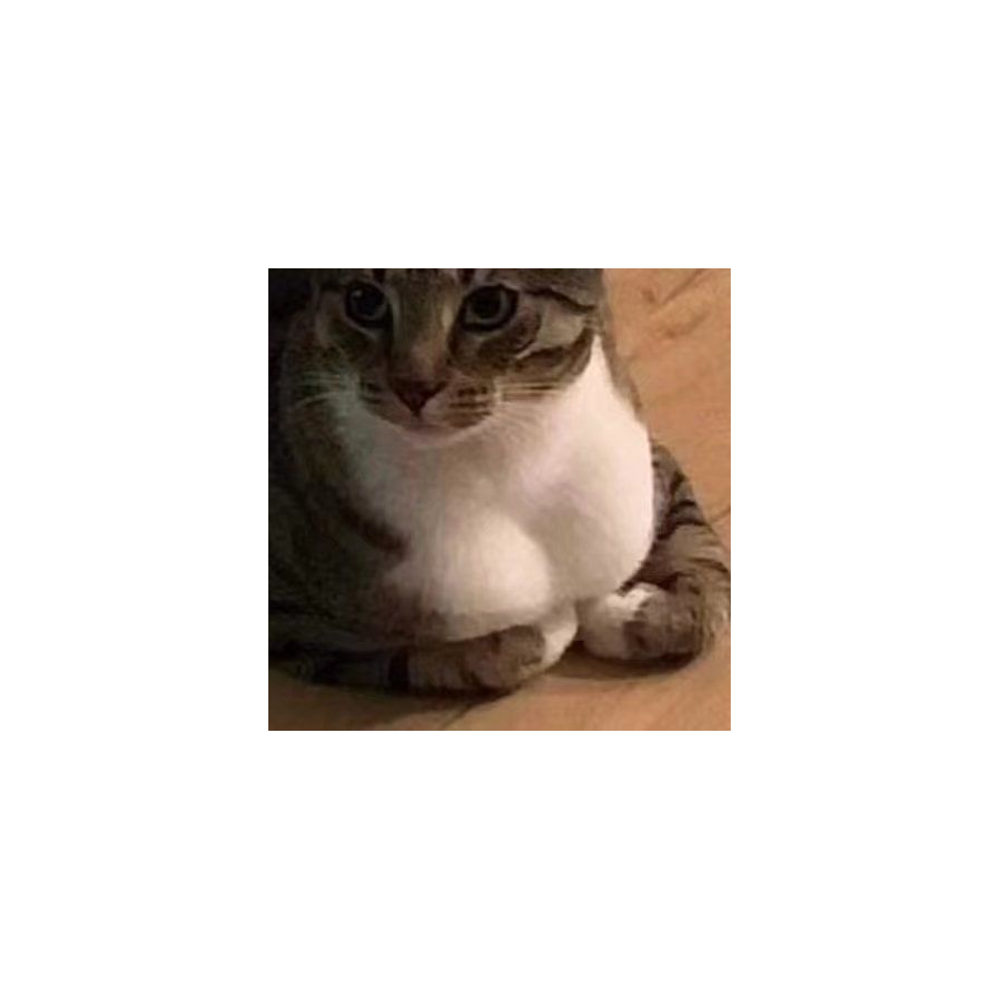 千铸