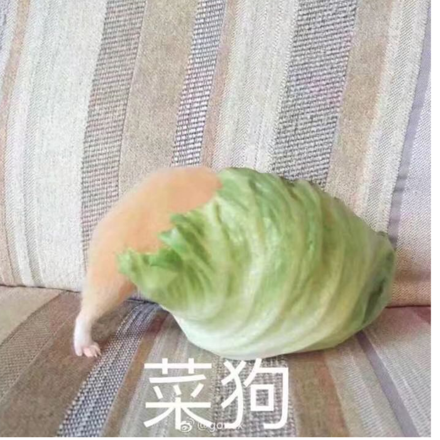 一个两个的