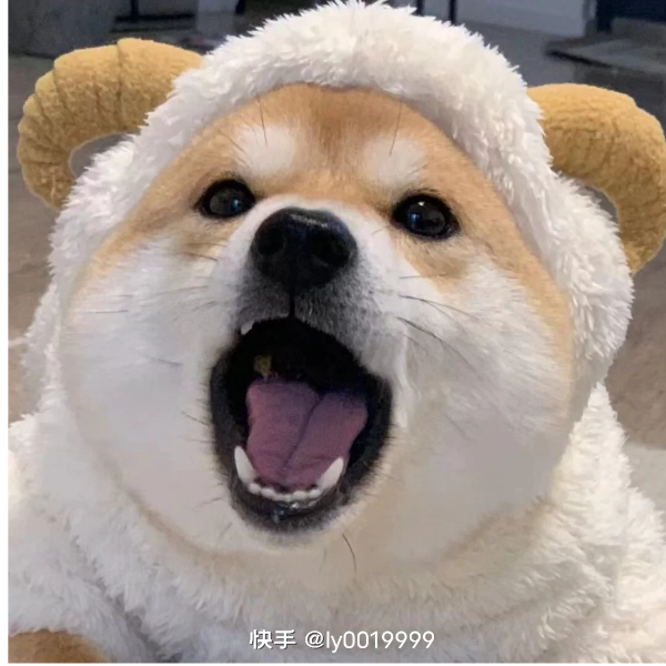 小轩