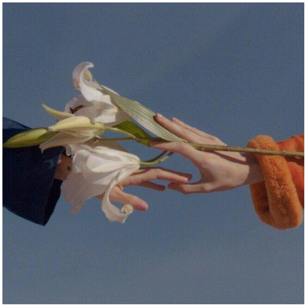 芒果西米陆