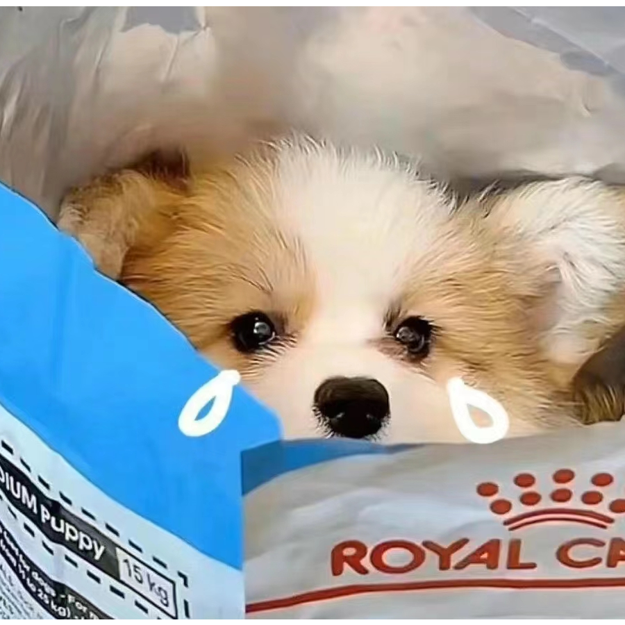 睡眼惺忪
