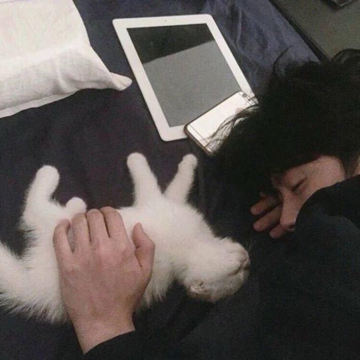 ι