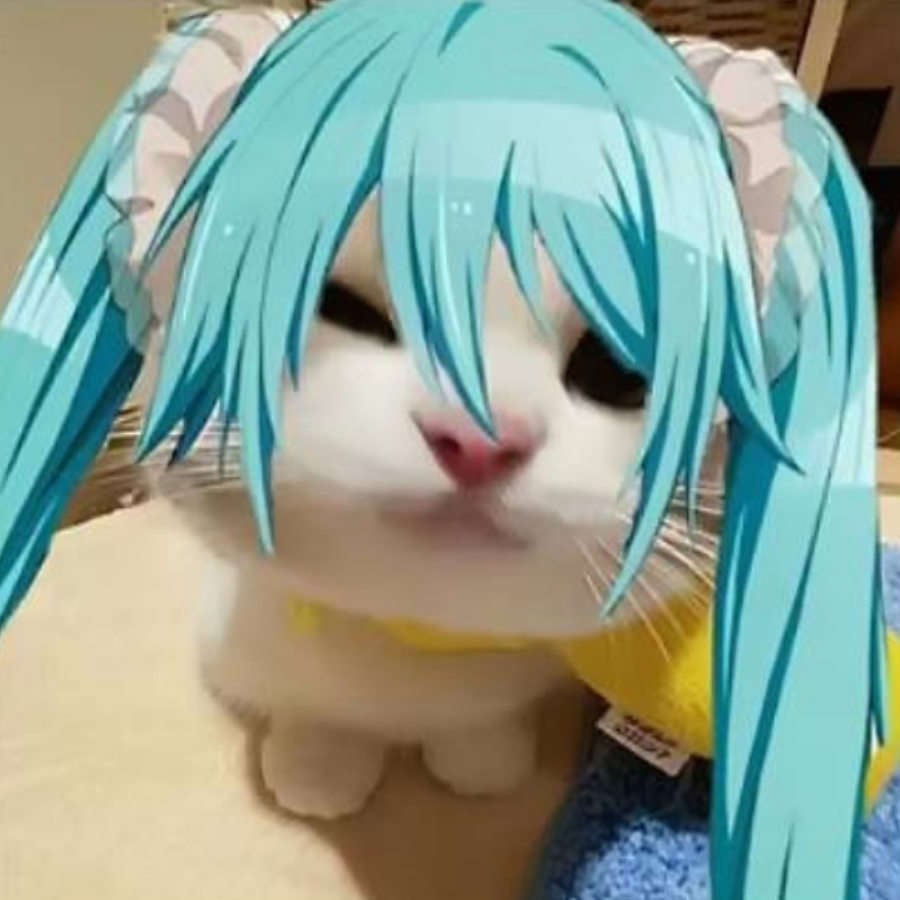 miku的喵喵怡