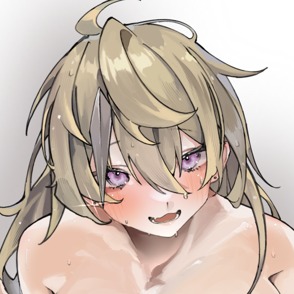 诺亚方舟