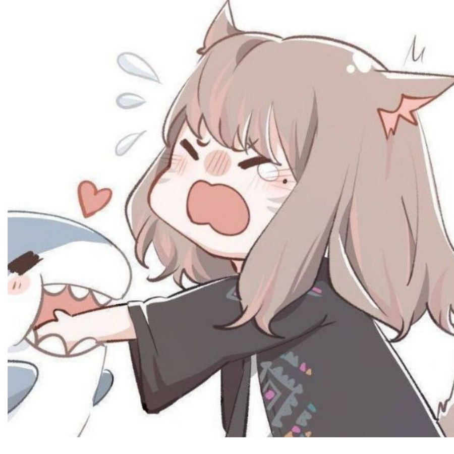 血  NAI