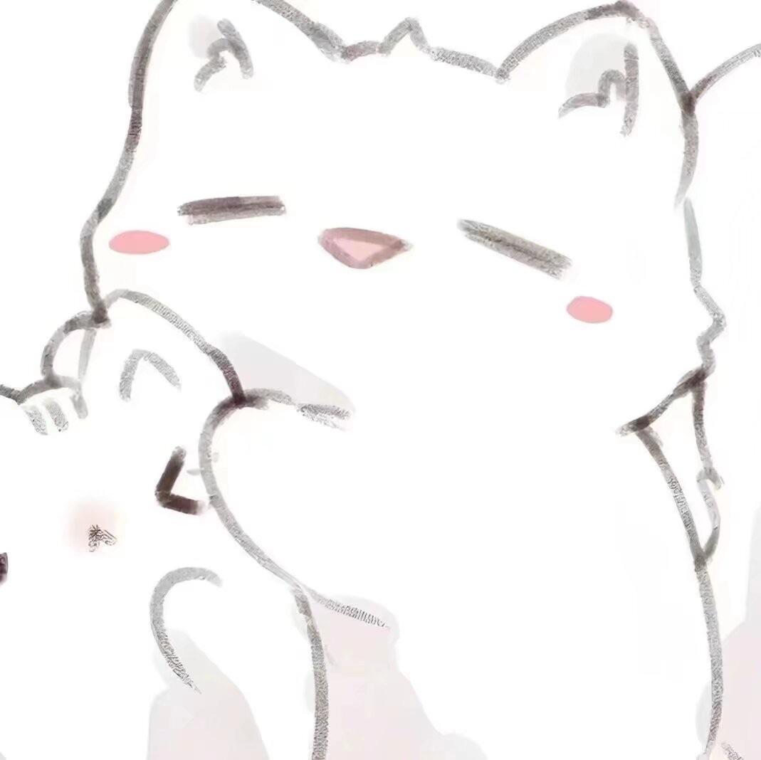 Kitty 猫