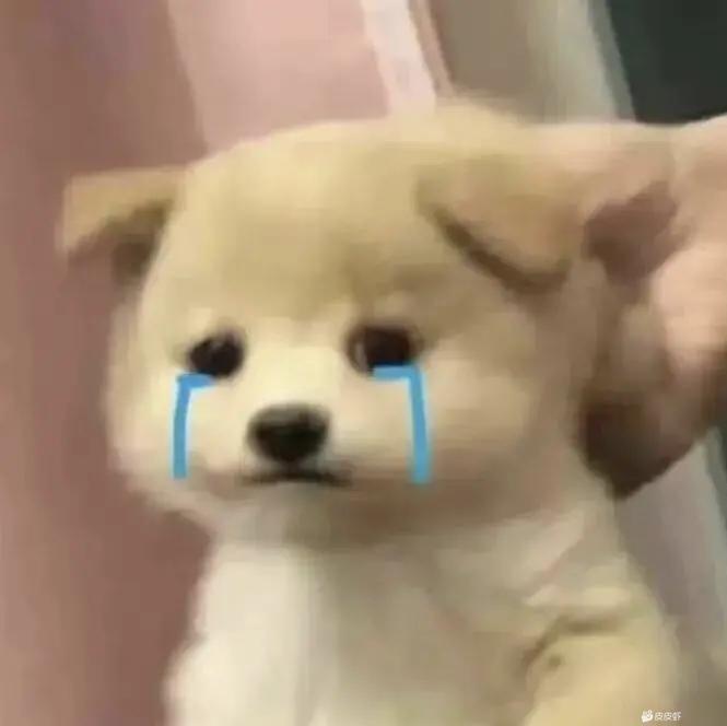 潞