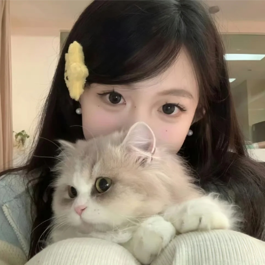 ʚ枫林晚ɞ