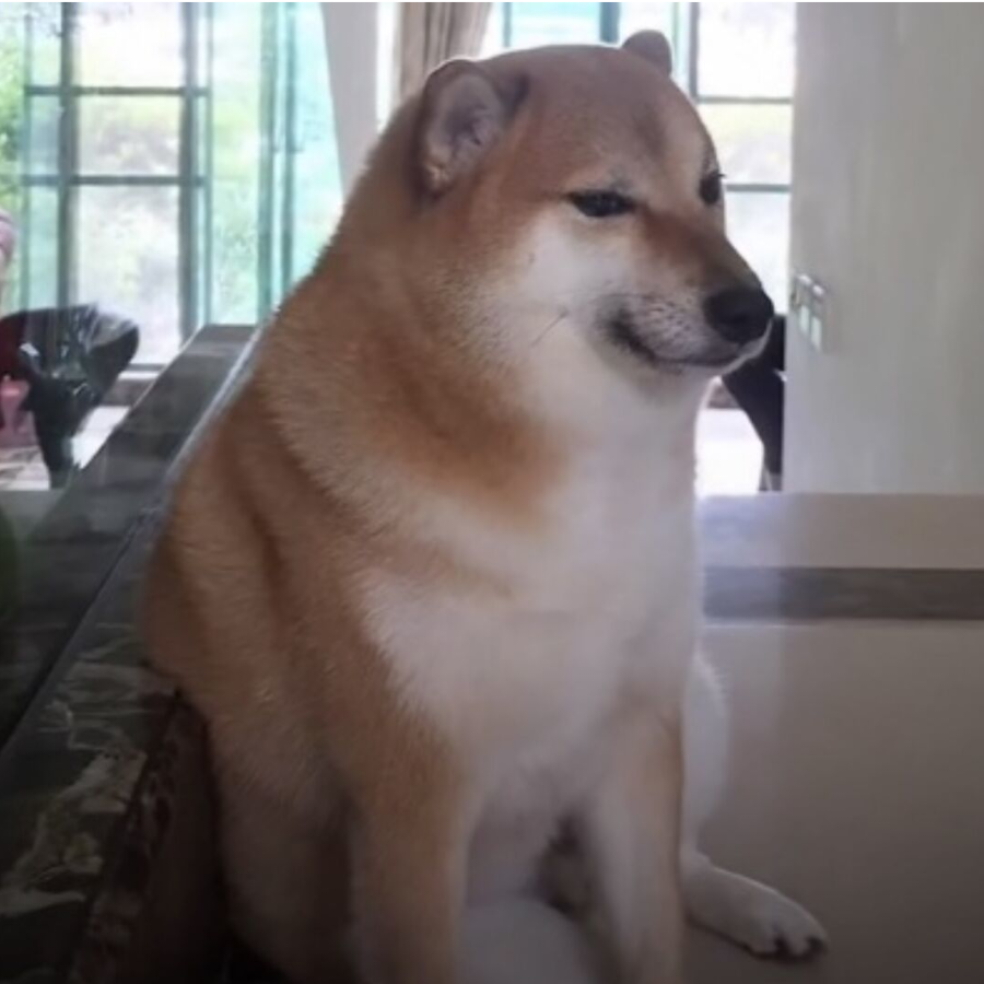 不要