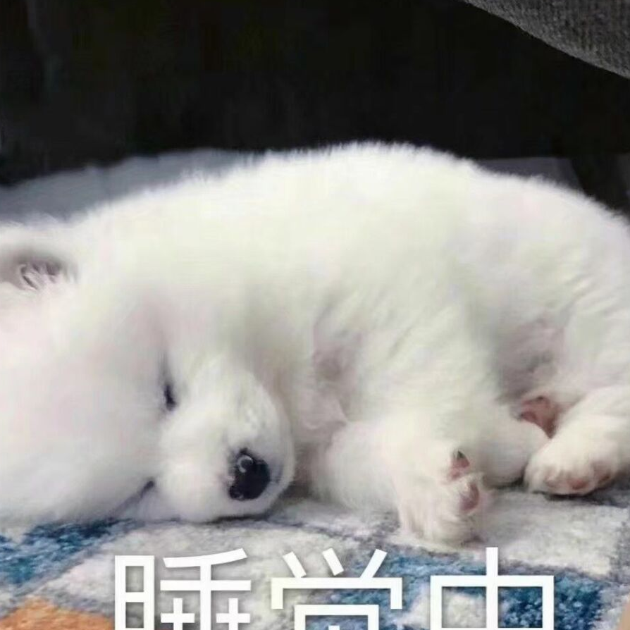 qq糖