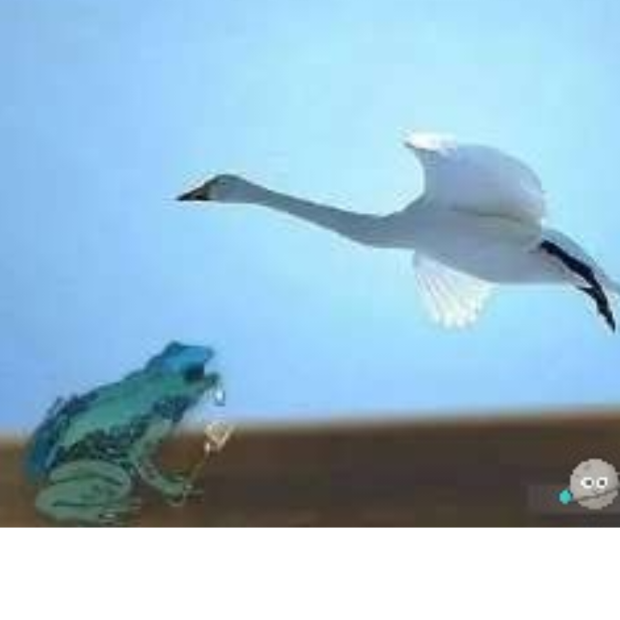 许你一诺~