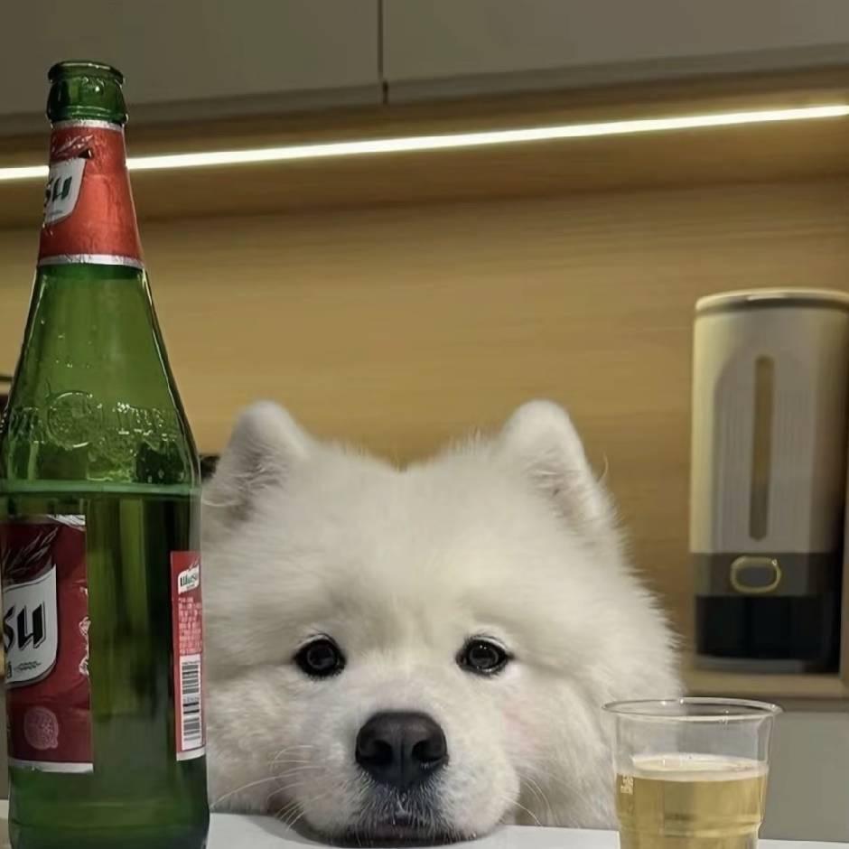 真让人头大