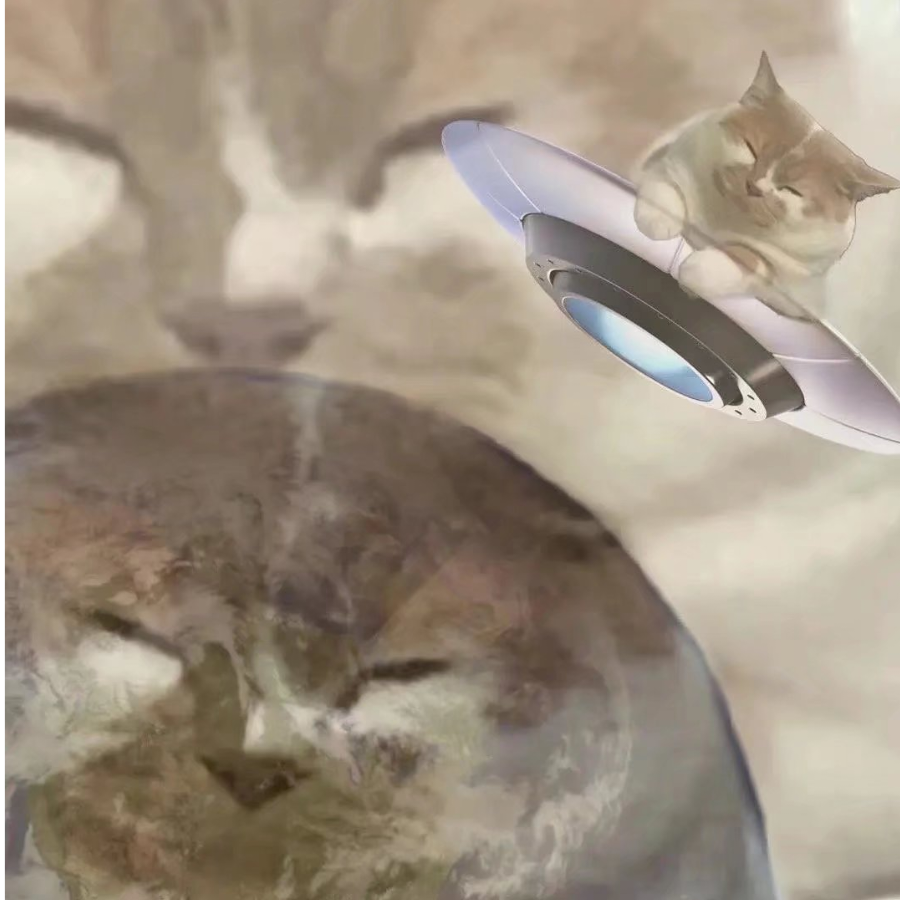 啊噜啦啦噜啦啦