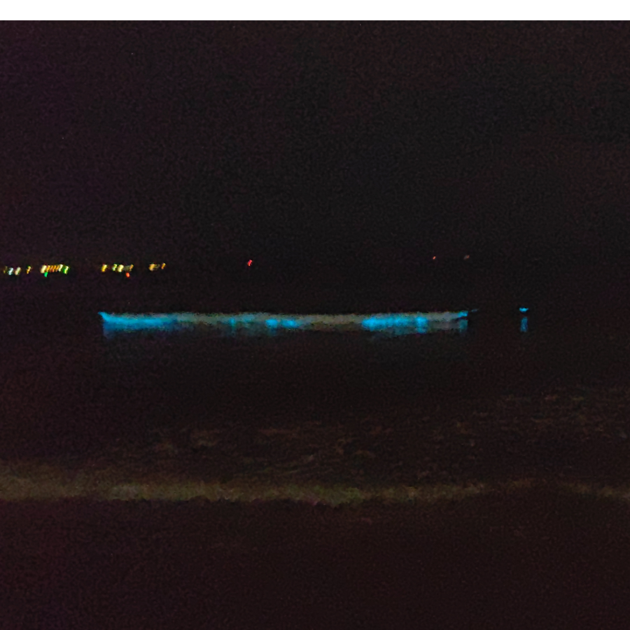 大海的荧光