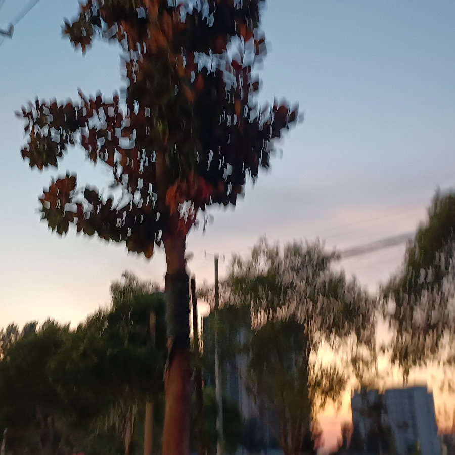 秦十五