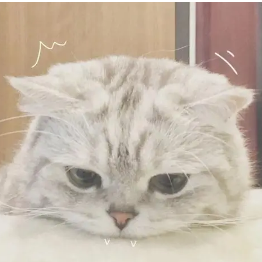 袭木