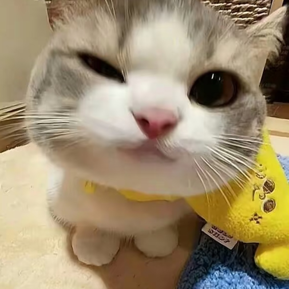 呵呵哒