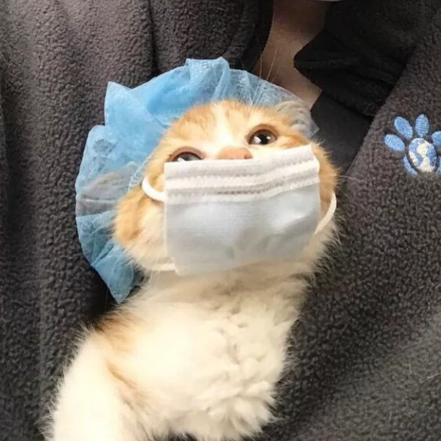 Prakcy