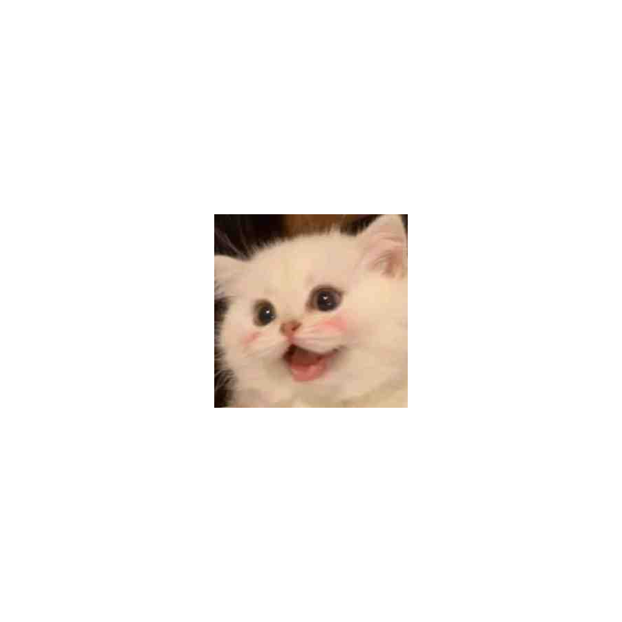 温倪倪