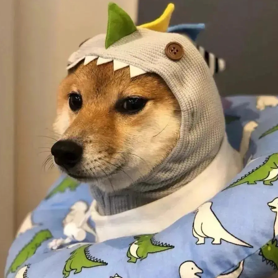 路