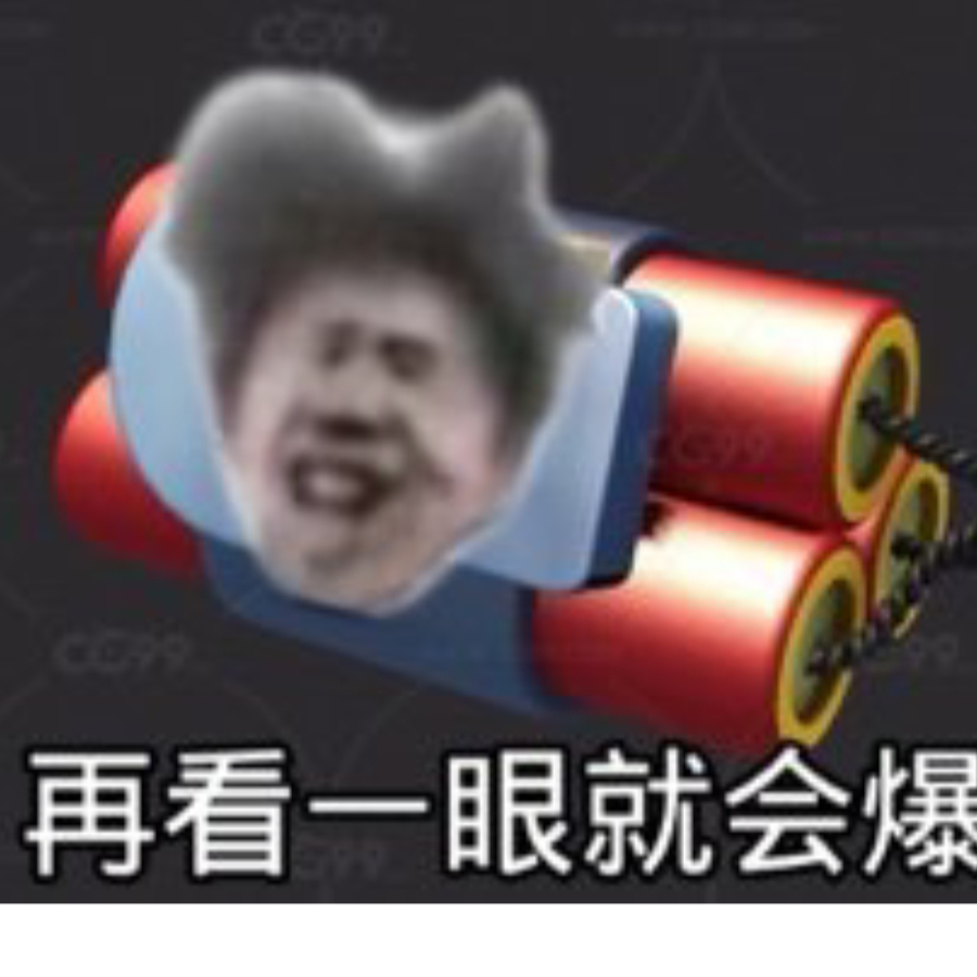 什么意思