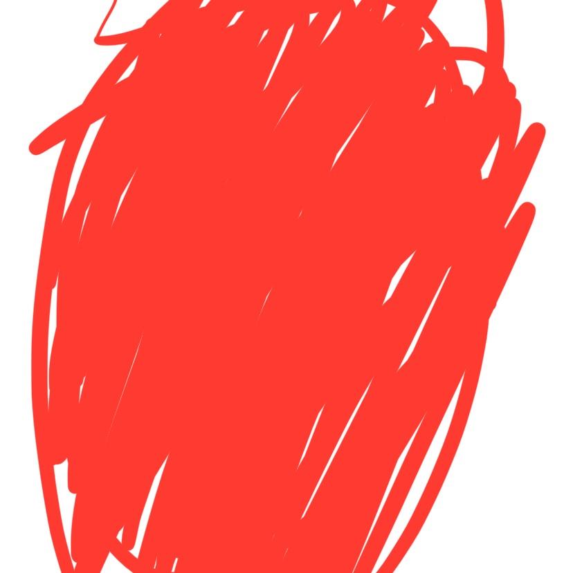 HZZS