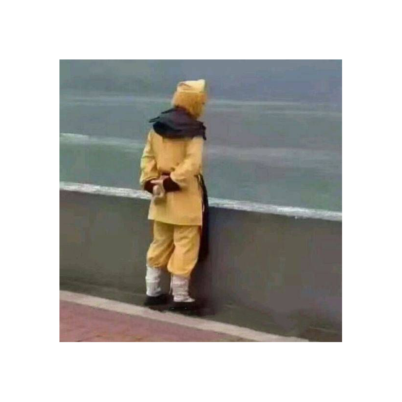 吐吐狗