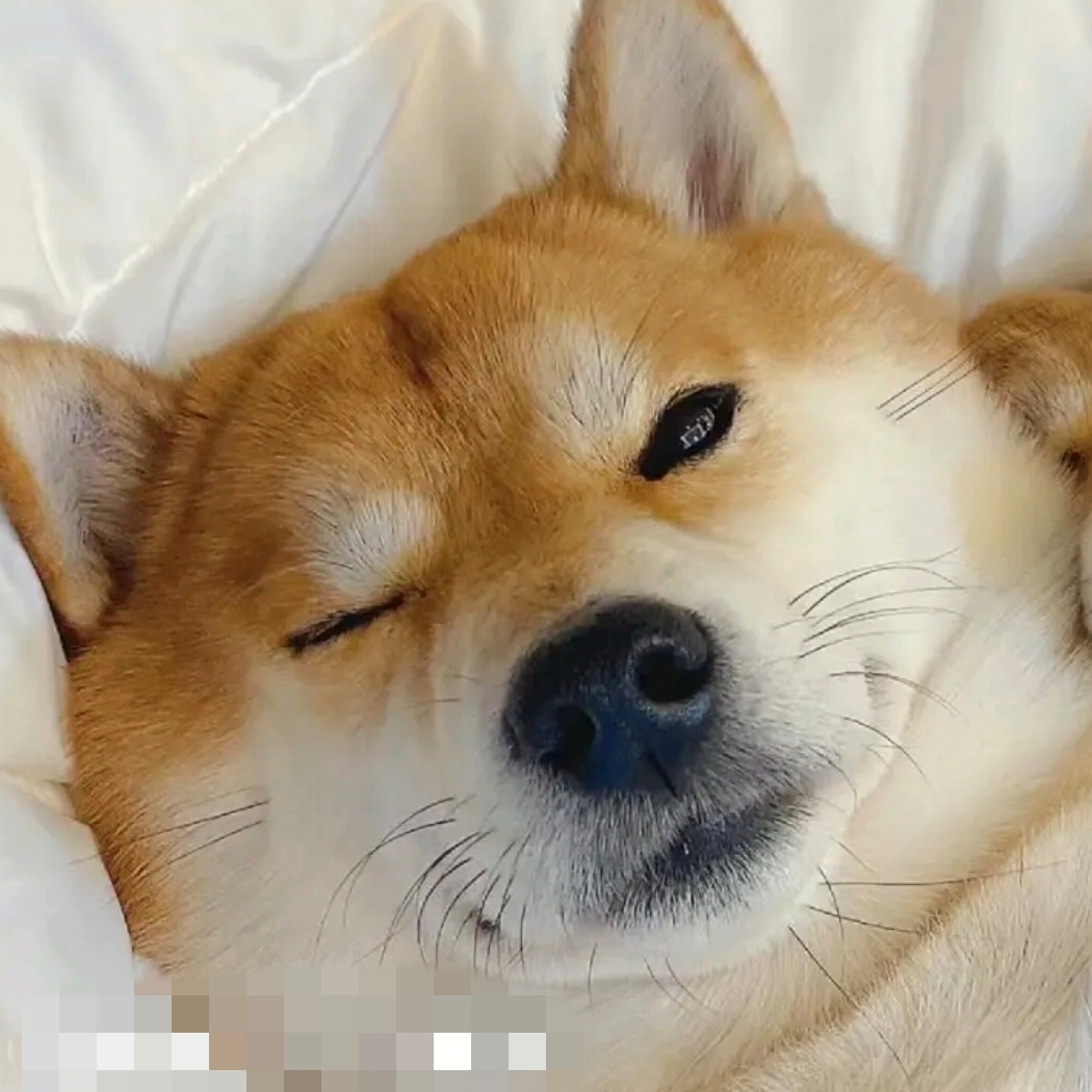 懒羊羊