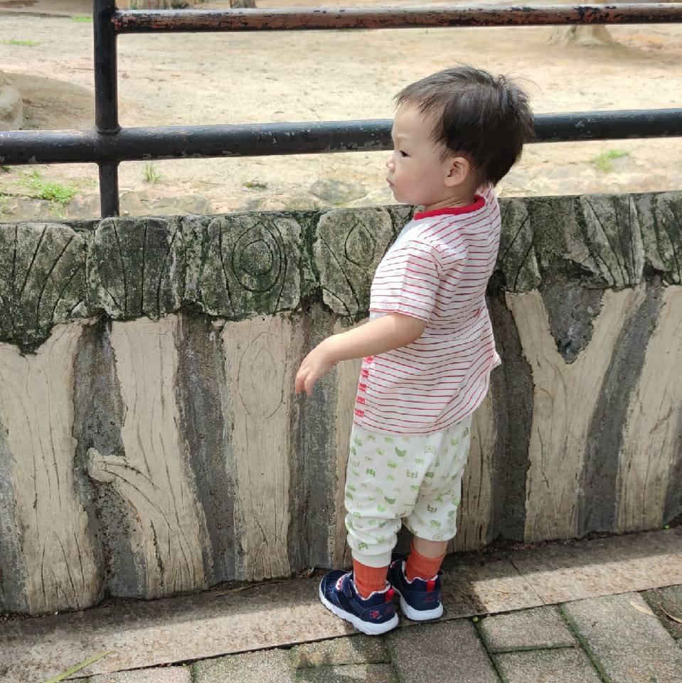 安心房产与装修