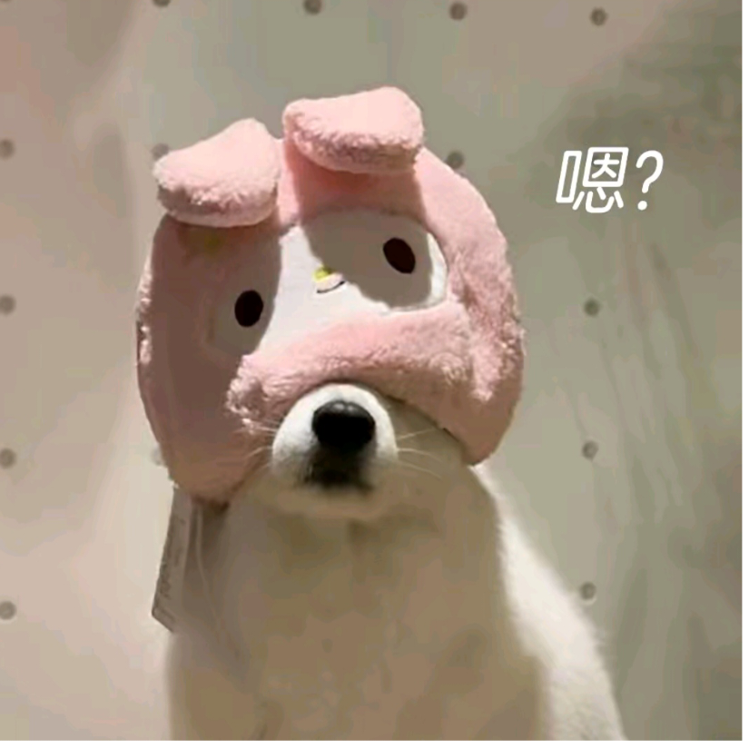 闵盺源