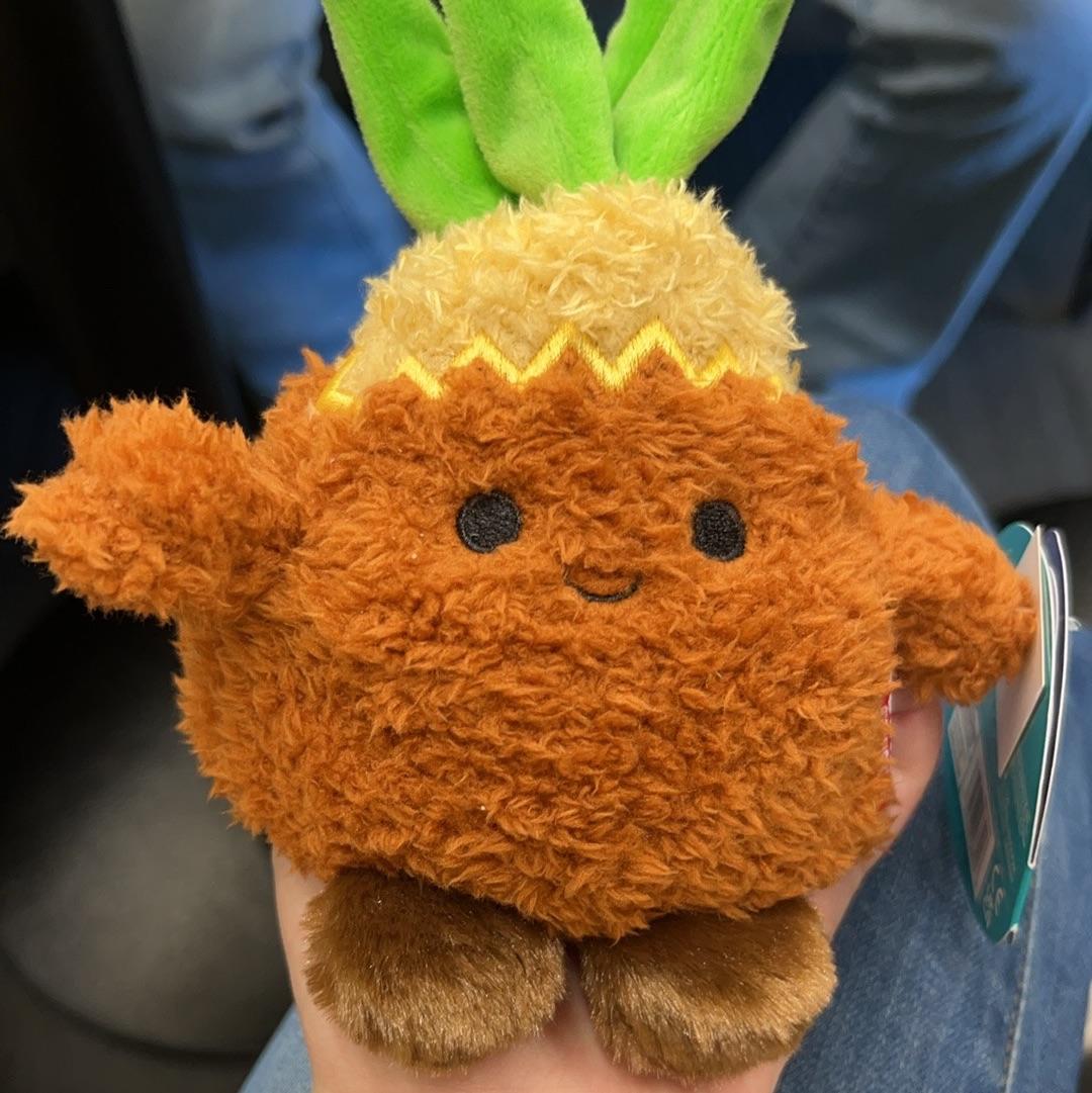 百年一遇的采莲员