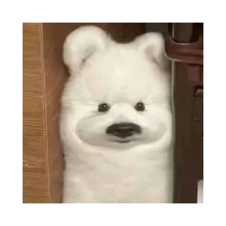Chikk