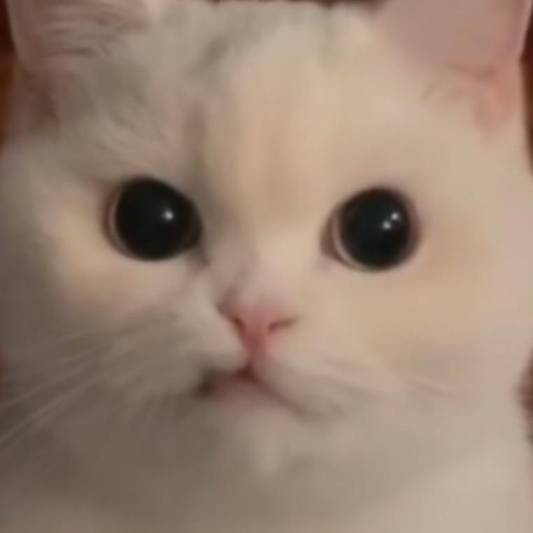 甘木。
