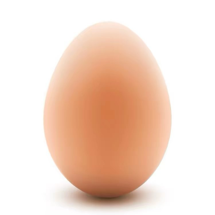 egg